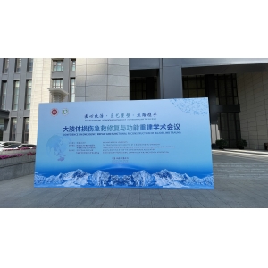 “匠心救治 丝路携手”国际学术会议
